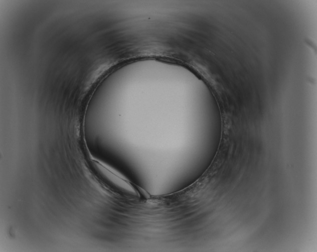 X0000098120060200804251501