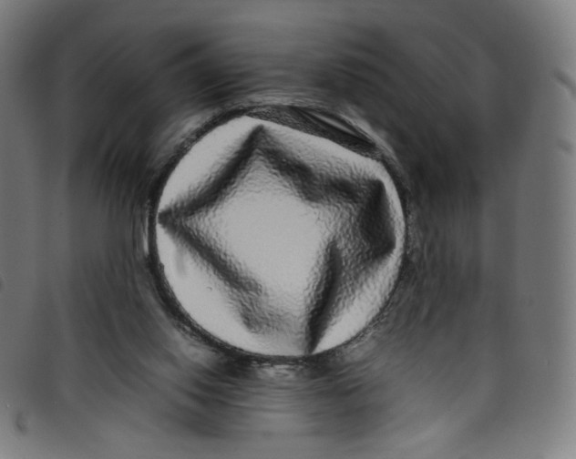 X0000098120062200804251501