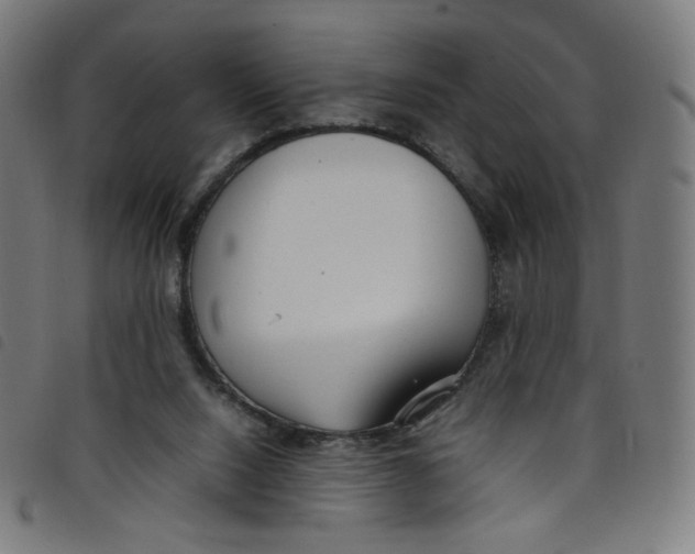 X0000098120064200804251501