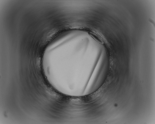 X0000098120066200804251501