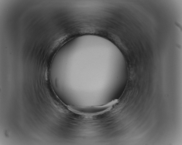 X0000098120068200804251501