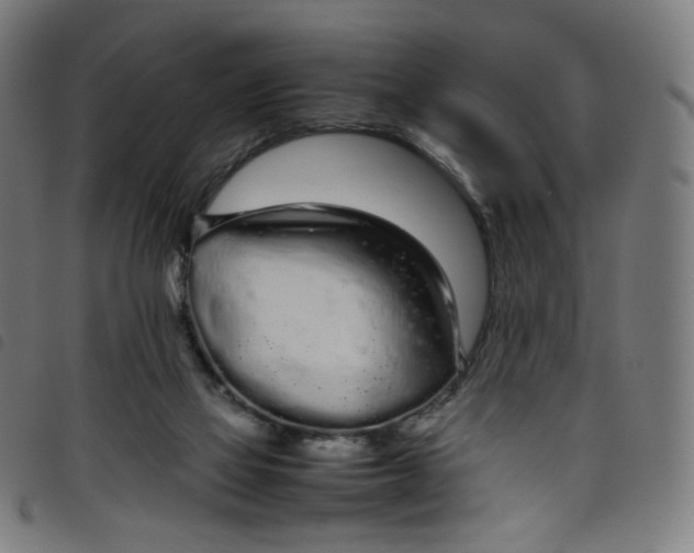 X0000098120069200804251501