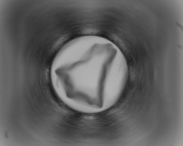 X0000098120071200804251501