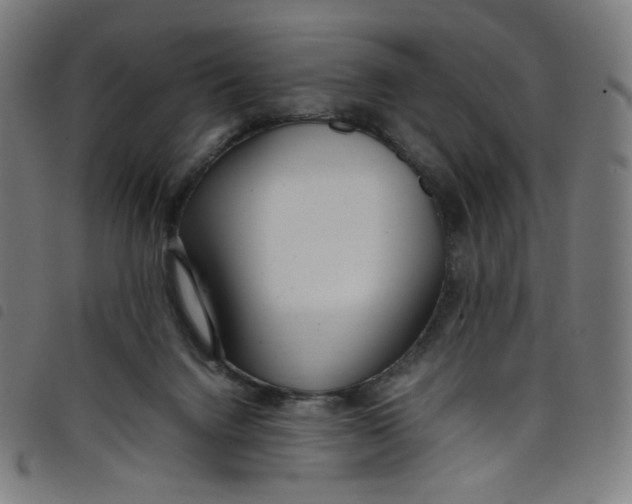 X0000098120072200804251501