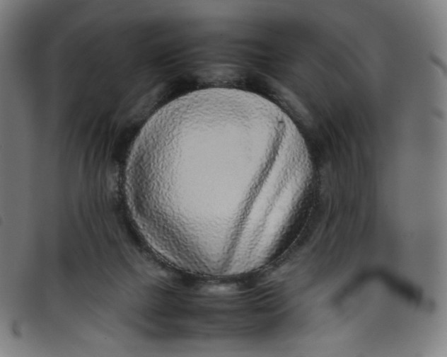 X0000098120073200804251501