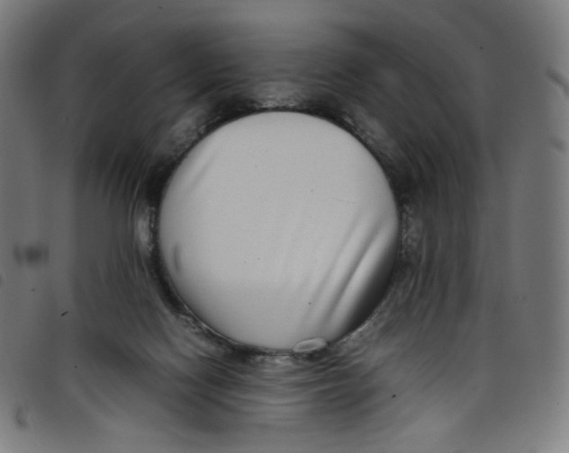 X0000098120074200804251501