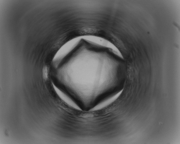 X0000098120075200804251501