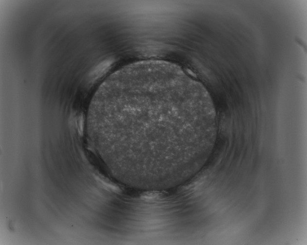X0000098120076200804251501