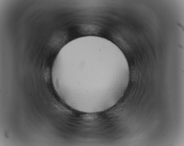 X0000098120077200804251501