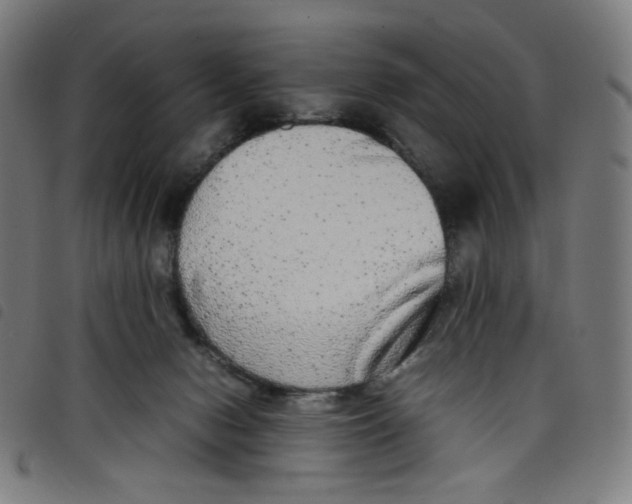 X0000098120078200804251501