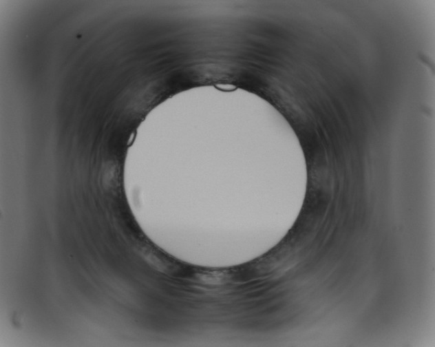 X0000098120079200804251502