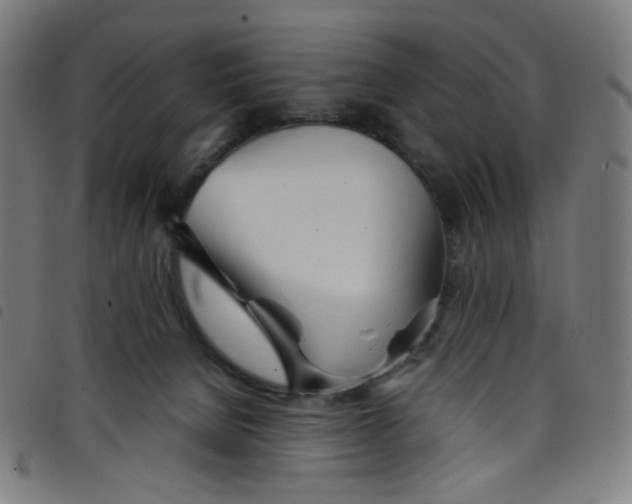 X0000098120080200804251502