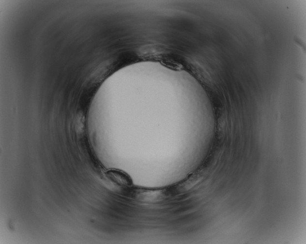 X0000098120081200804251502