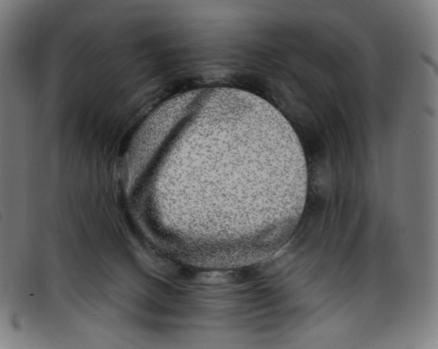 X0000098120082200804251502