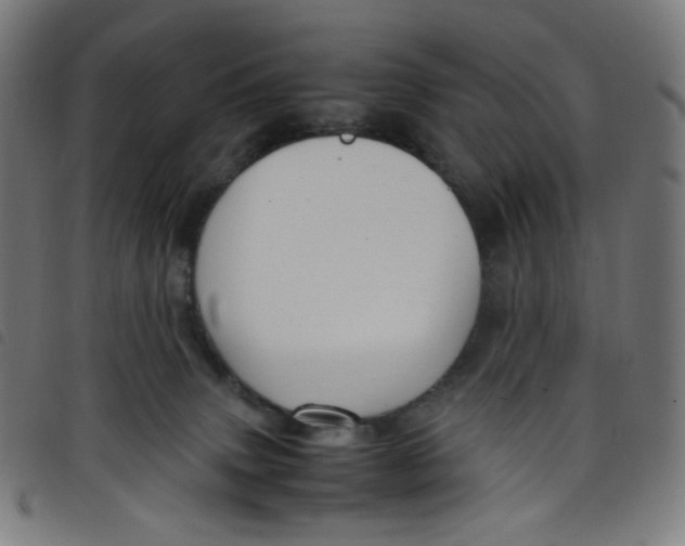 X0000098120083200804251502