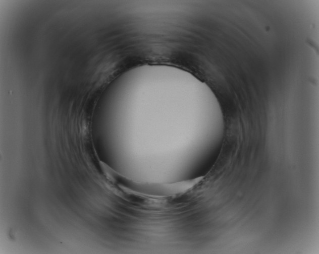 X0000098120084200804251502