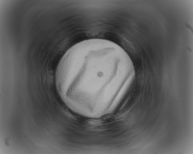 X0000098120085200804251502