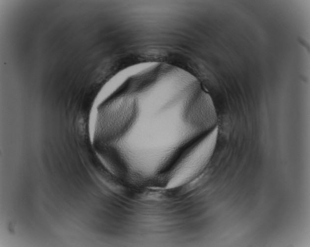 X0000098120086200804251502