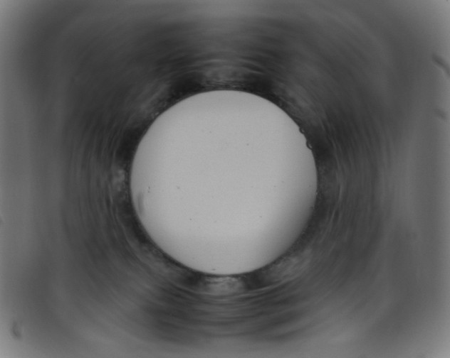 X0000098120087200804251502