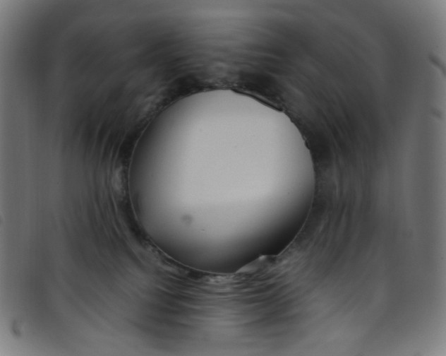 X0000098120088200804251502