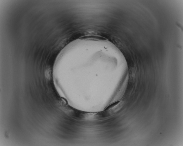 X0000098120090200804251502