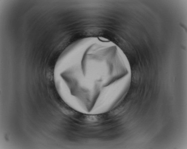 X0000098120091200804251502