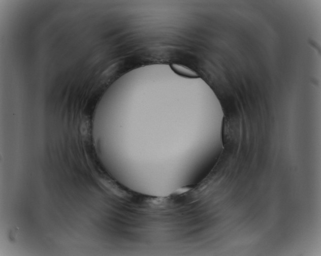 X0000098120092200804251502