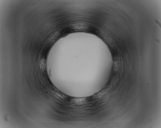 X0000098120093200804251502