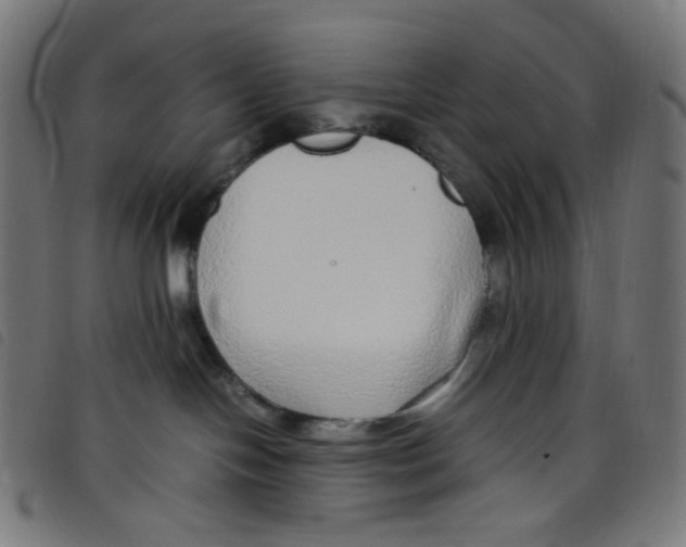 X0000098120094200804251502