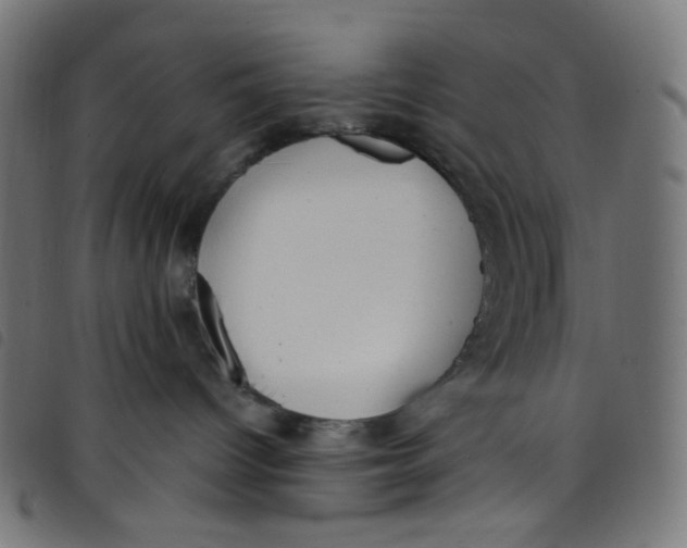 X0000098120096200804251502