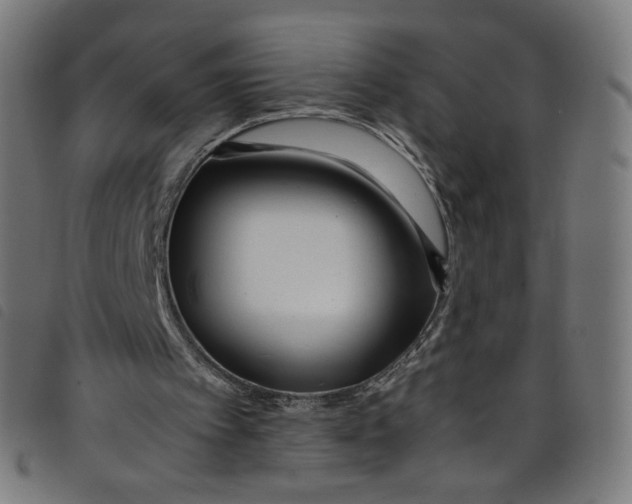 X0000098120097200804251501