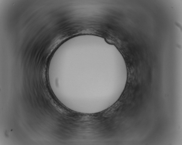 X0000098120098200804251501