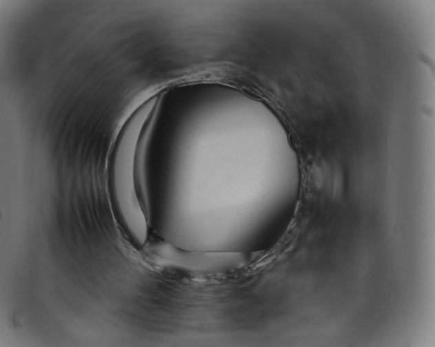 X0000098120100200804251501