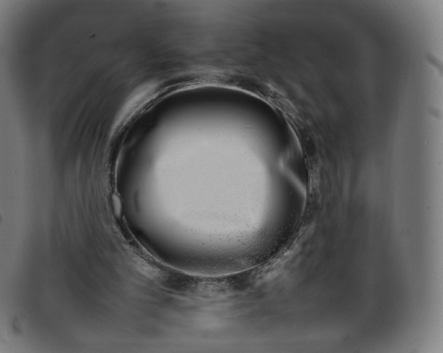 X0000098120101200804251501