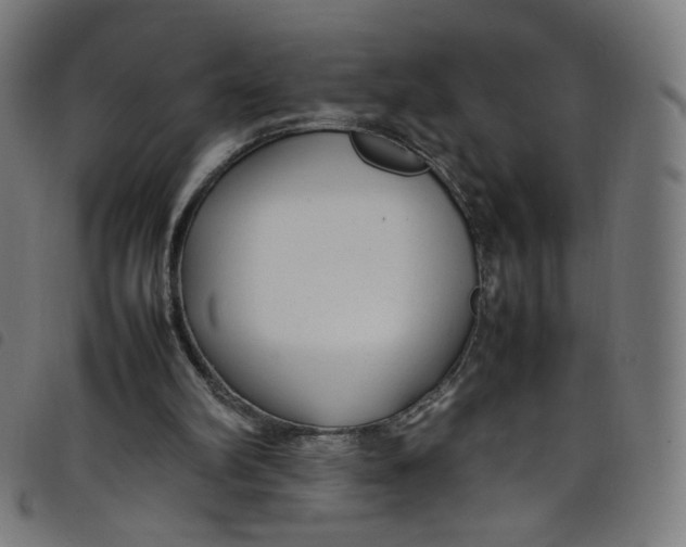 X0000098120102200804251501