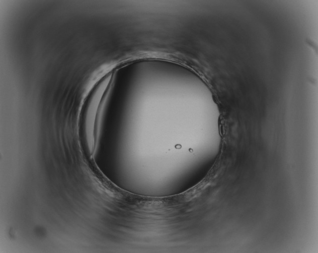 X0000098120104200804251501