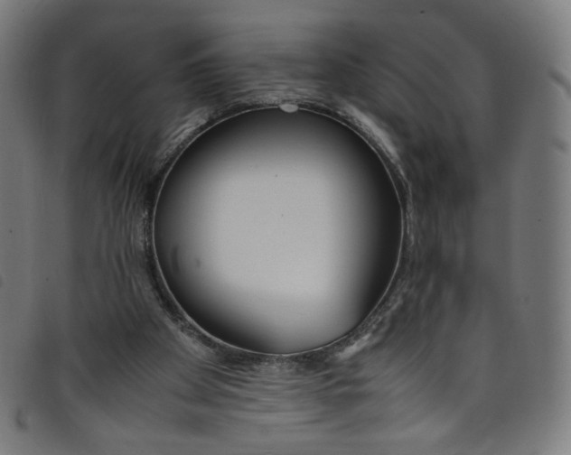 X0000098120105200804251501