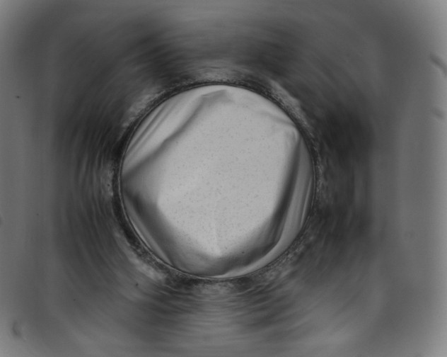 X0000098120106200804251501