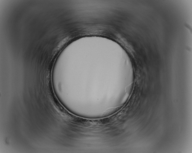 X0000098120107200804251501