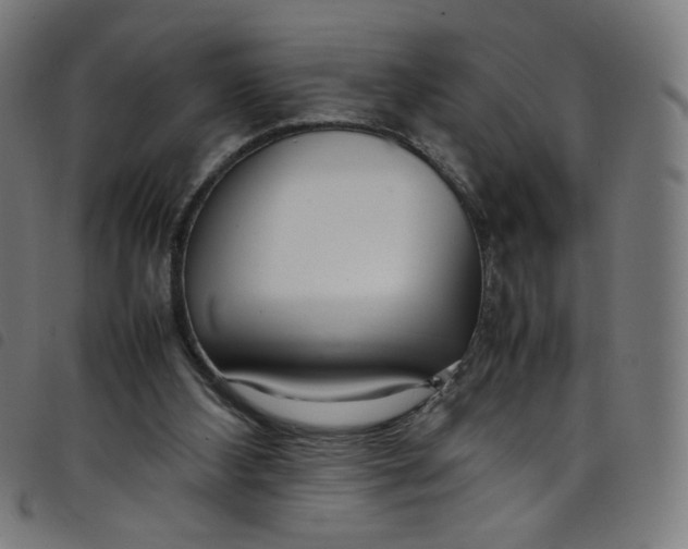 X0000098120108200804251501