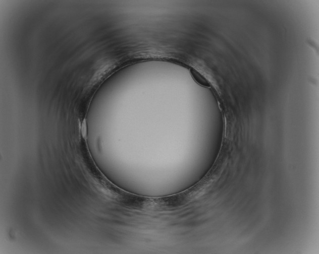 X0000098120109200804251501
