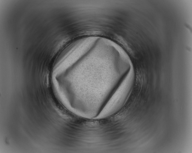 X0000098120110200804251501