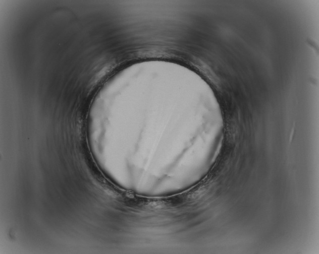 X0000098120111200804251501