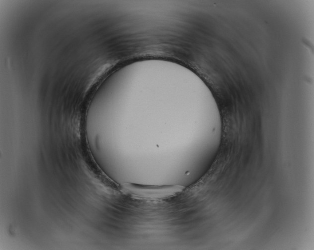 X0000098120112200804251501