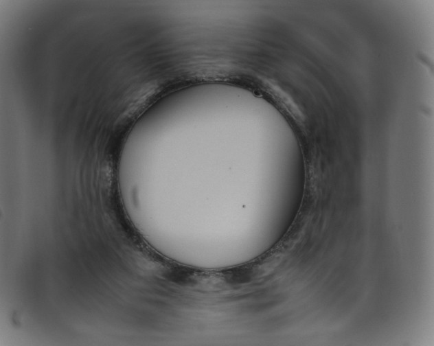 X0000098120113200804251501