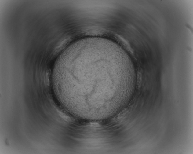 X0000098120114200804251501