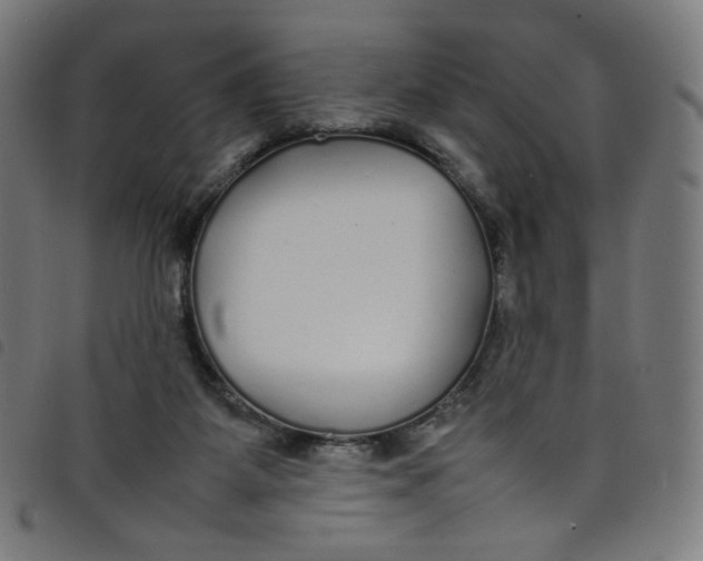 X0000098120115200804251501
