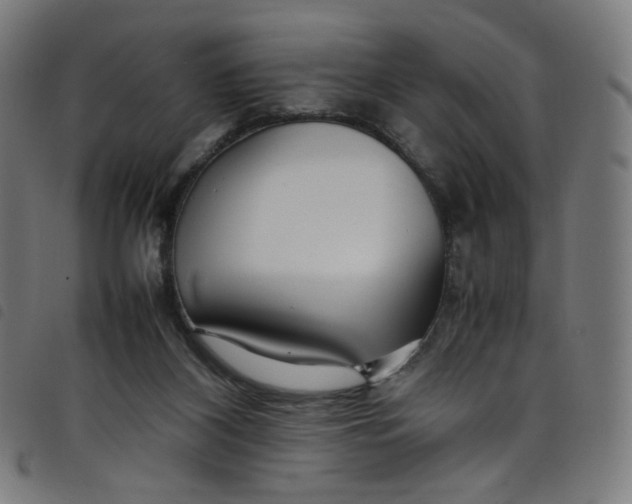 X0000098120116200804251501