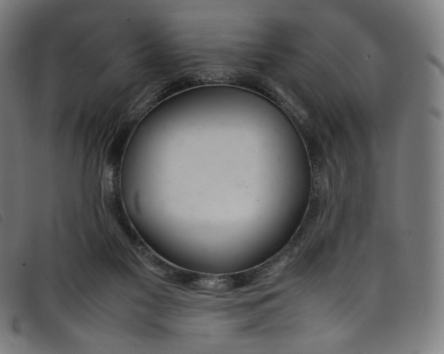 X0000098120117200804251501