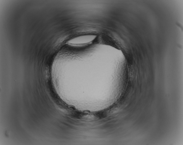 X0000098120119200804251501